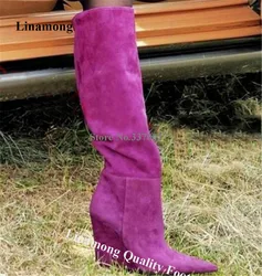 Linamong Suede Knee High Wedge Boots Elegant Pointed Toe Purple Brown Black Slip-on Wedges Women Leisure Wedge Boots Big Size