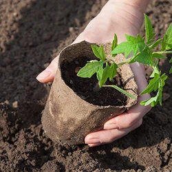 30Pcs Biodegradable Paper Pulp Cup Plant Seedling Nursery Pots Garden Greenhouse Seedling Germination Cultivation Planting Tools