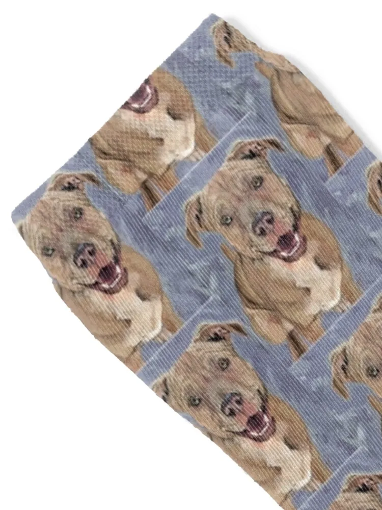 Pit-bull/Lab Mix - Digital w/ background Socks custom sports men cotton high quality floral Socks Male Women's