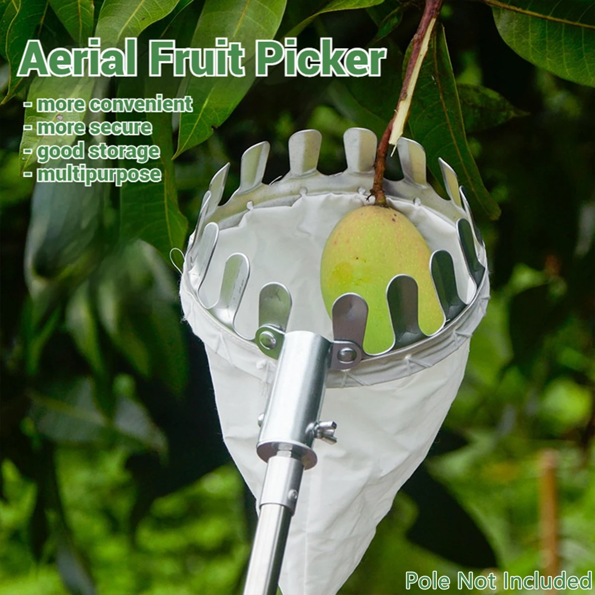 Fruit Picker Tool,Durable Orchard Gardening Harvester,High Branch Picker,Stainless Steel-Pole Not Included