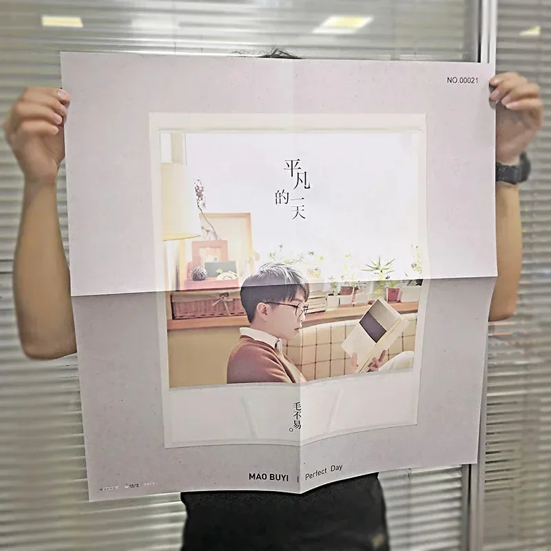 Рисунок 4 - Подлинная виниловая пластинка LP для альбома Mao Buyi