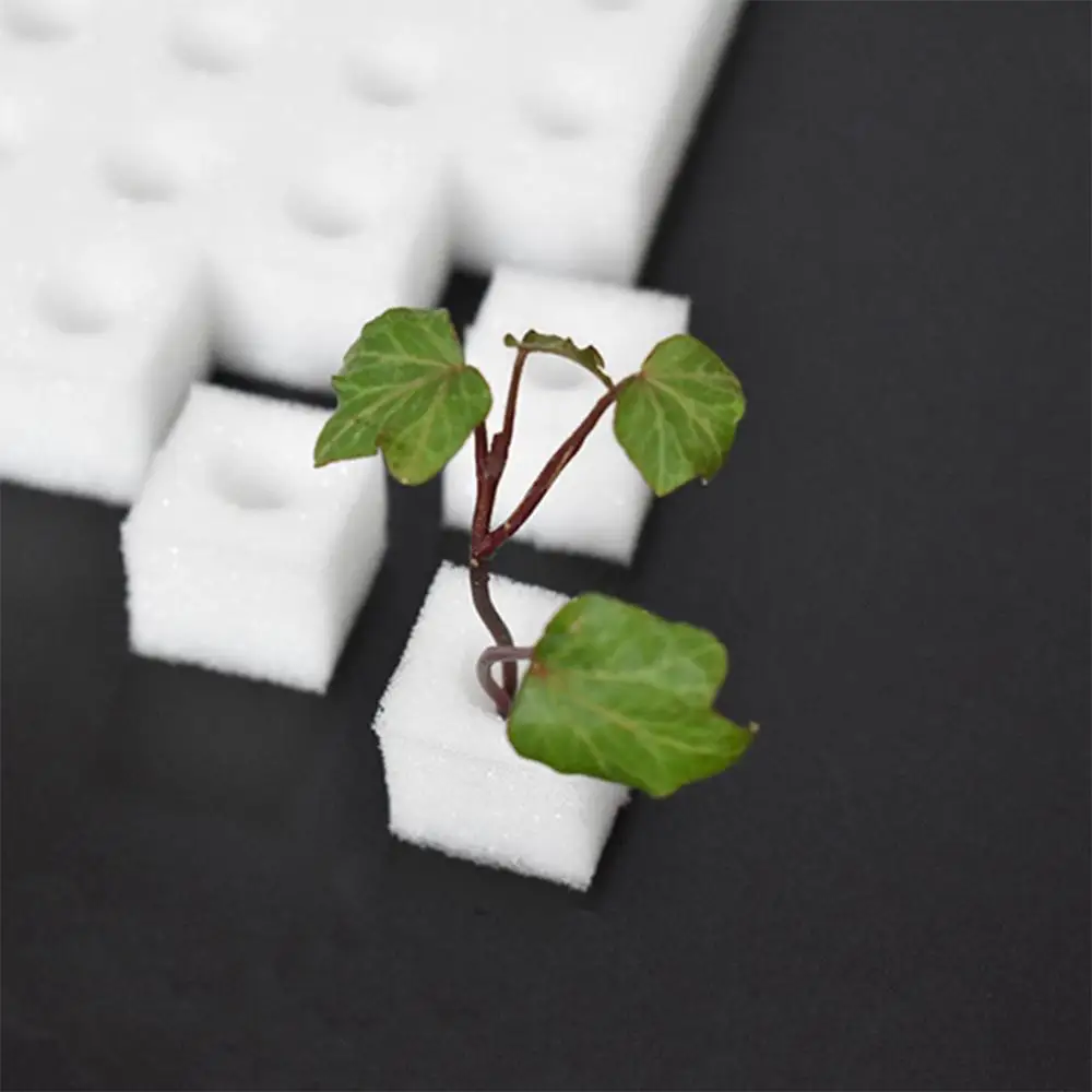 100 Pieces White Seedling Sponge Soilless Hydroponic Vegetables Cultivation Plant Nursery Pots Seedlings Cloning Collar Garden