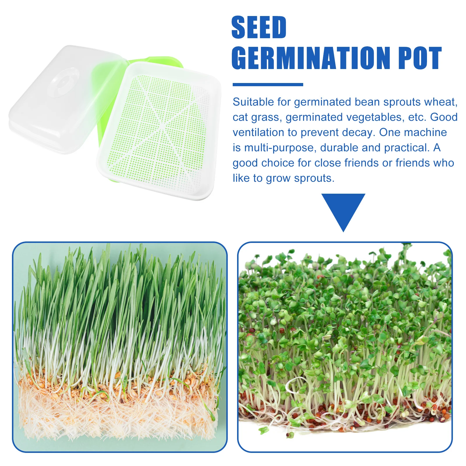 

Hydroponic Nursery Pot Soil-Free Wheatgrass Grower Plastic Bean Sprout Tray Easy Transplanting Reusable Recyclable Home