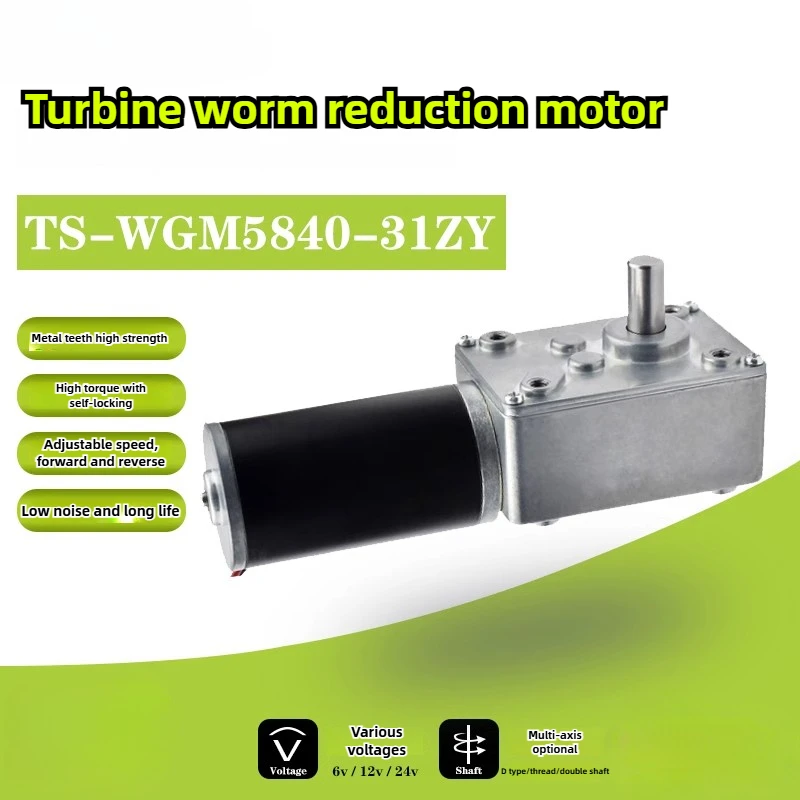 5840-31ZY turbo worm DC geared motor 12v24 speed regulation self-locking gear large torque dual shaft motor