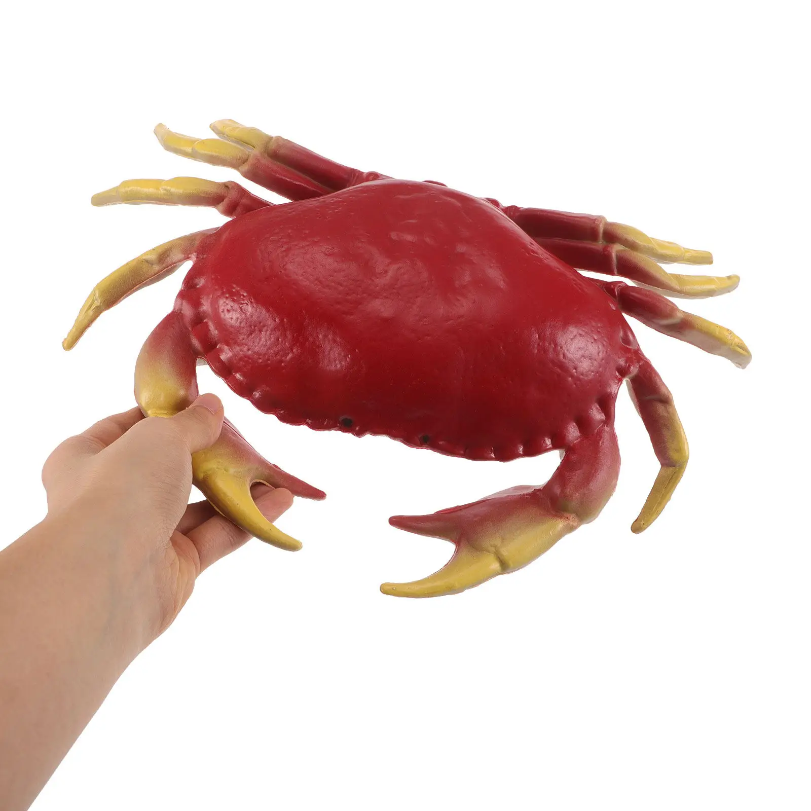 Realistic Crab Simulation Sea Animal Ornament Mini Decor for Early Education Photography Backdrops Ocean