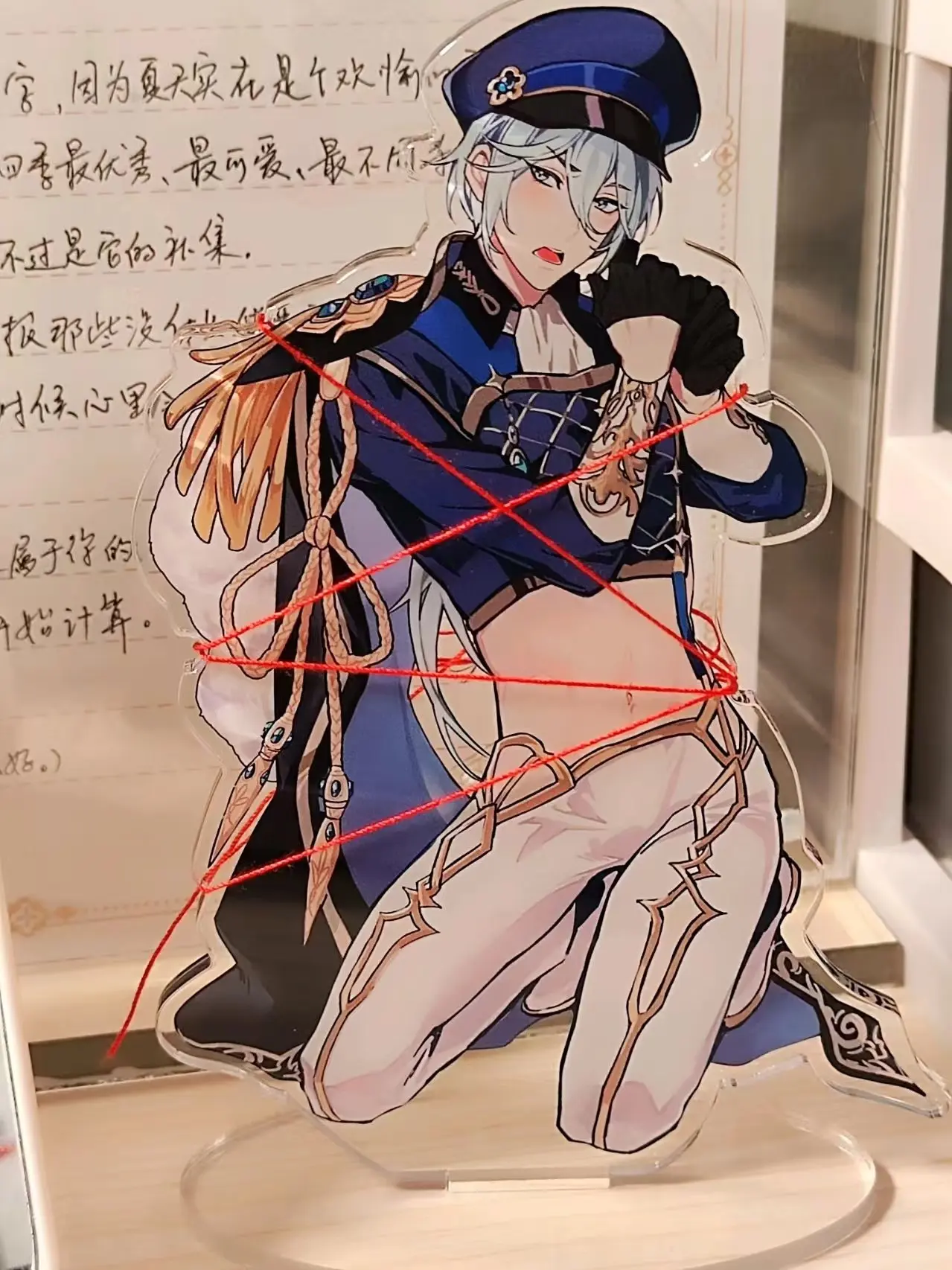 Nu Carnival Binding Acrylic Detour Figure Eiden Display Anime