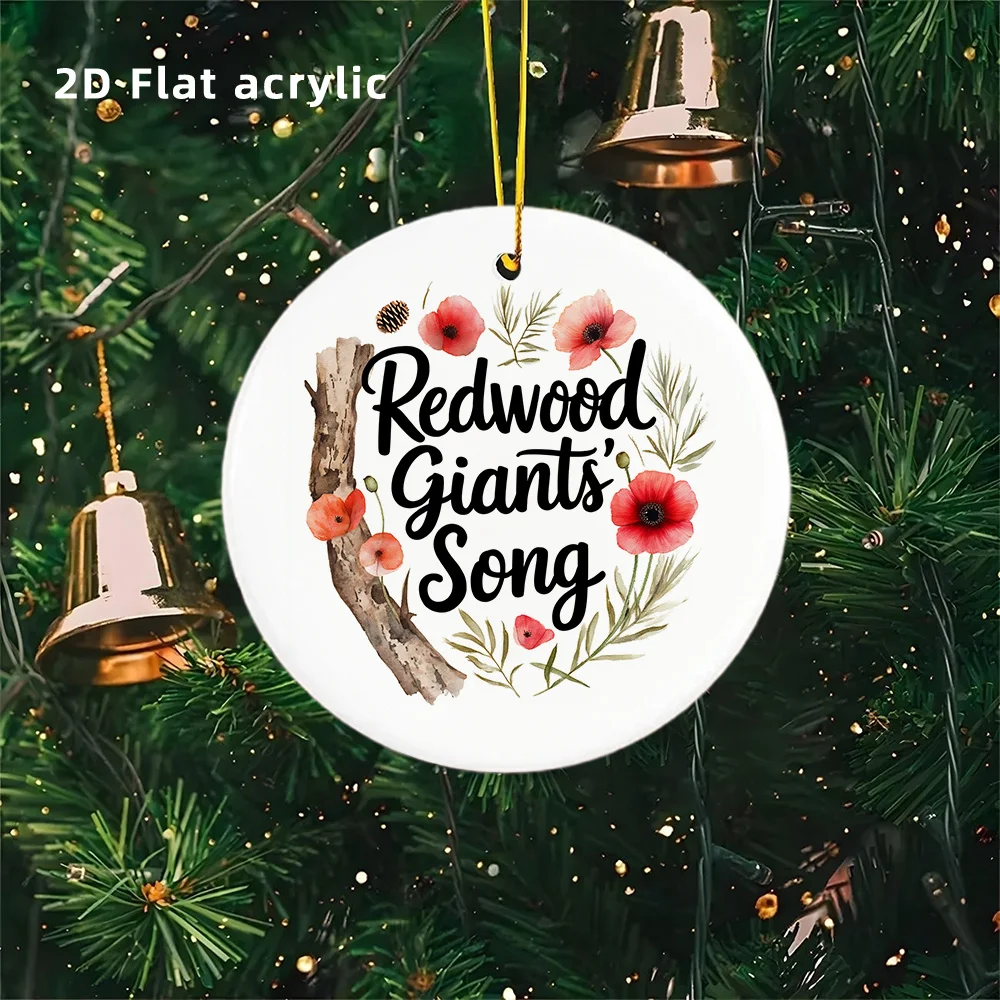 2D Plane, 1 Piece O…