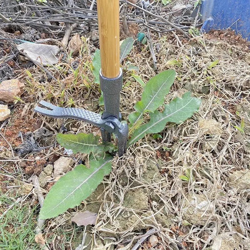 Stand-Up Weed Puller With Wood Long Handle, Root Remover For Garden Care, Easily Remove Weeds Without Bending