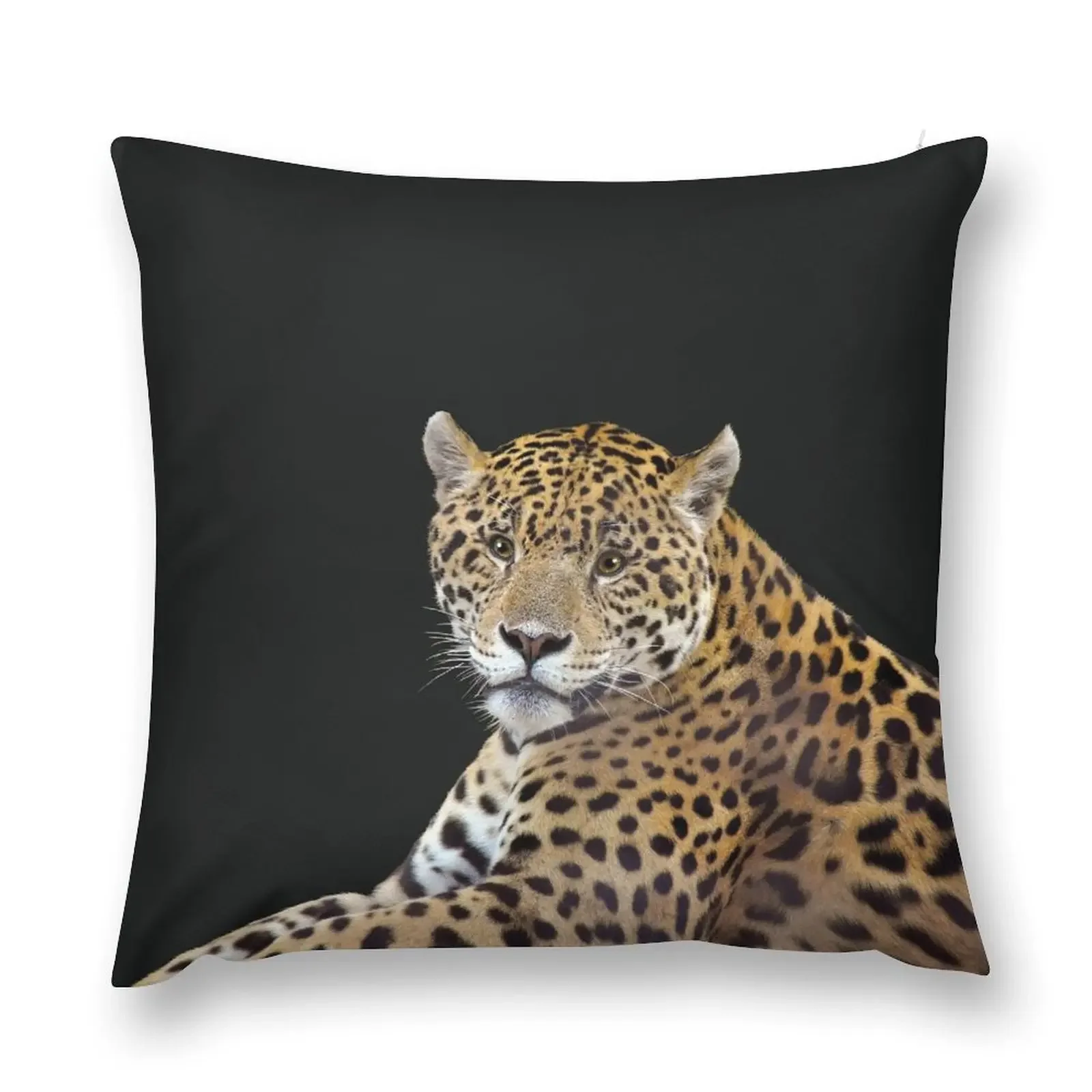 

Mayan Temple Jaguar Throw Pillow Sofa Cushions Cover Sofa Decorative Covers Christmas Pillows pillow