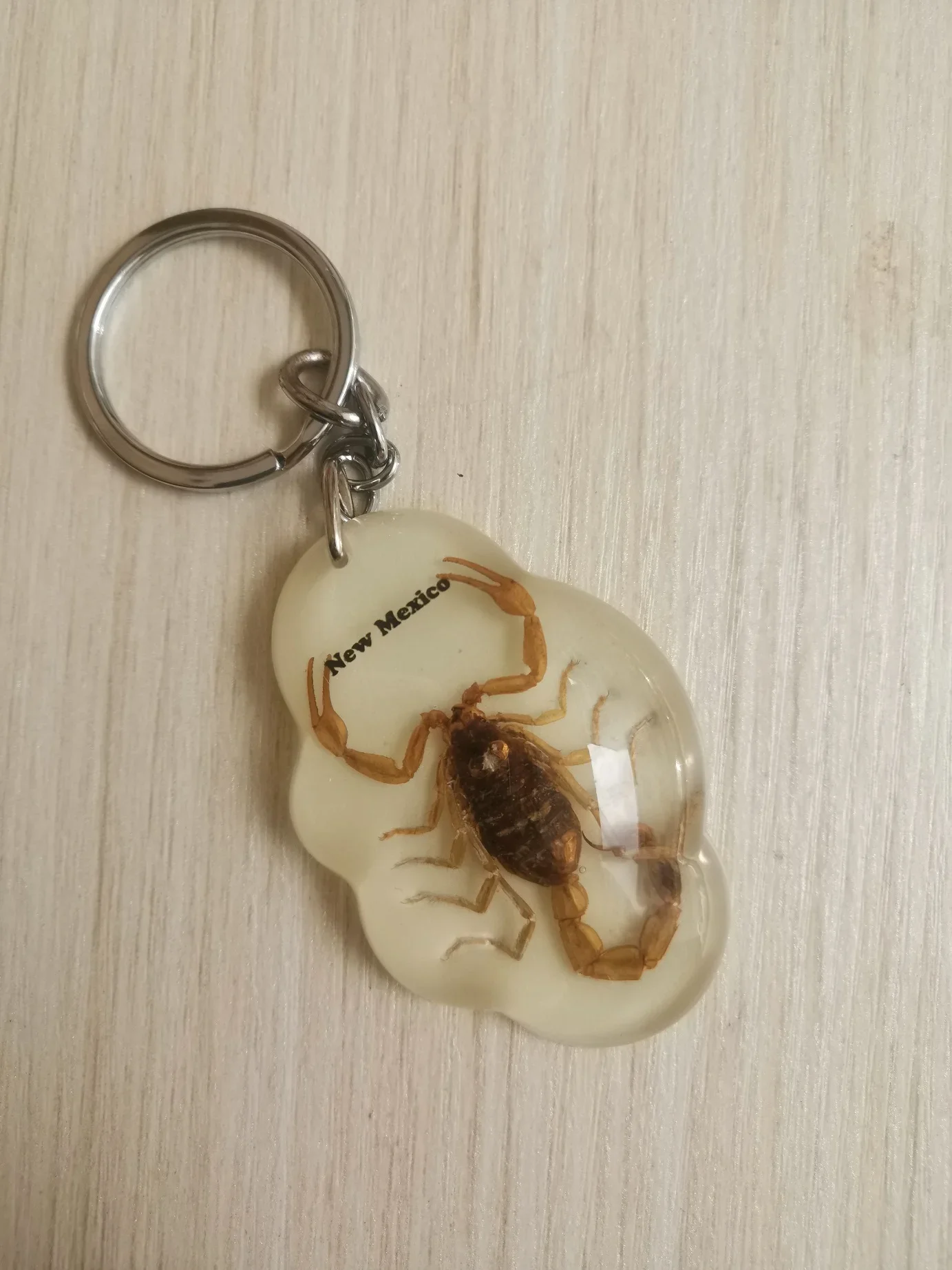 21pcs Insect Resin Keychain Specimen Crab Spider Scorpion Golden Turtle Wasp Spade Beetle Red Bean Ant Key Chain Decoration