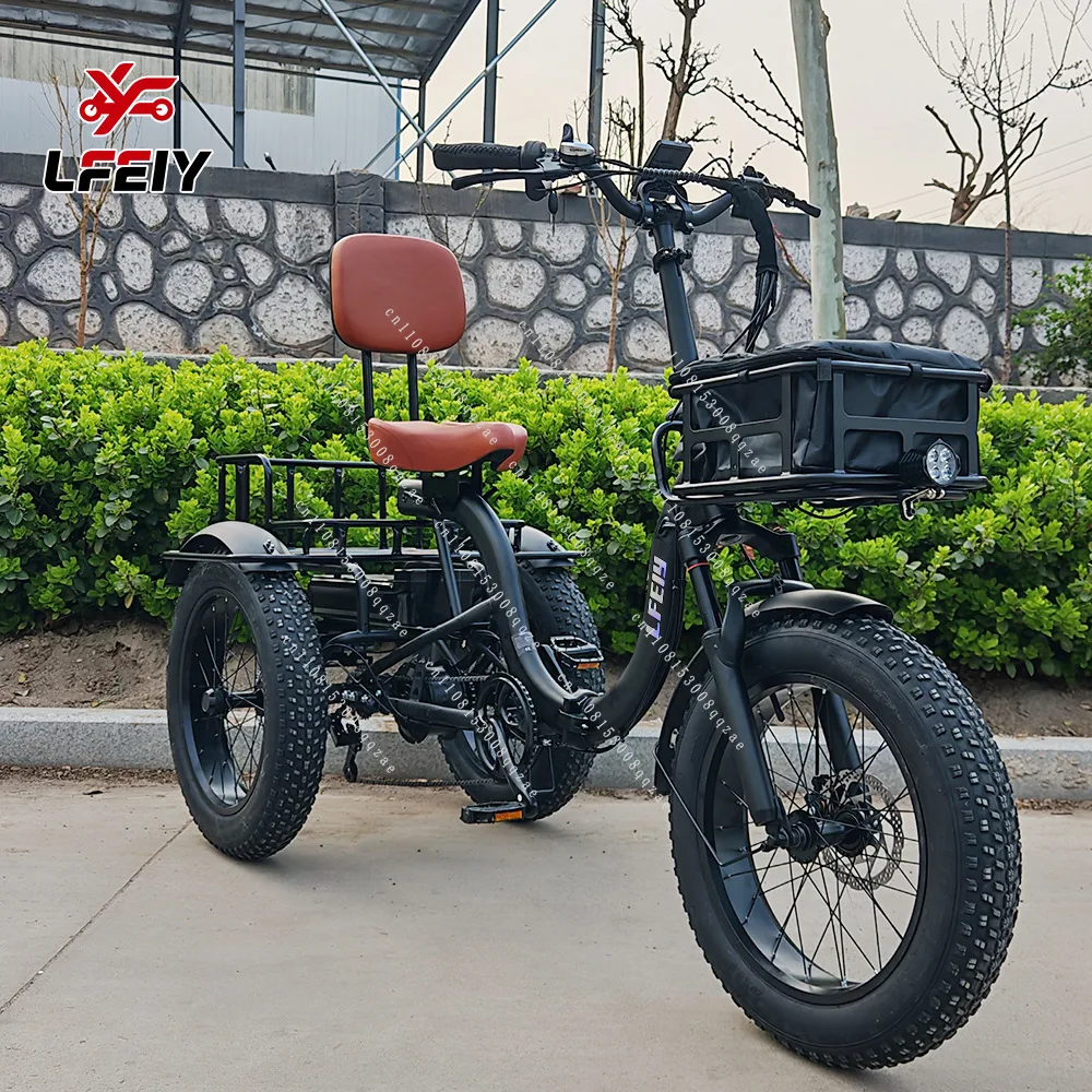 Folding Tricycle 20-inch Cool Fly Rear-wheel Drive Differential Style Fat Tire Pedal Assist Electric Tricycle