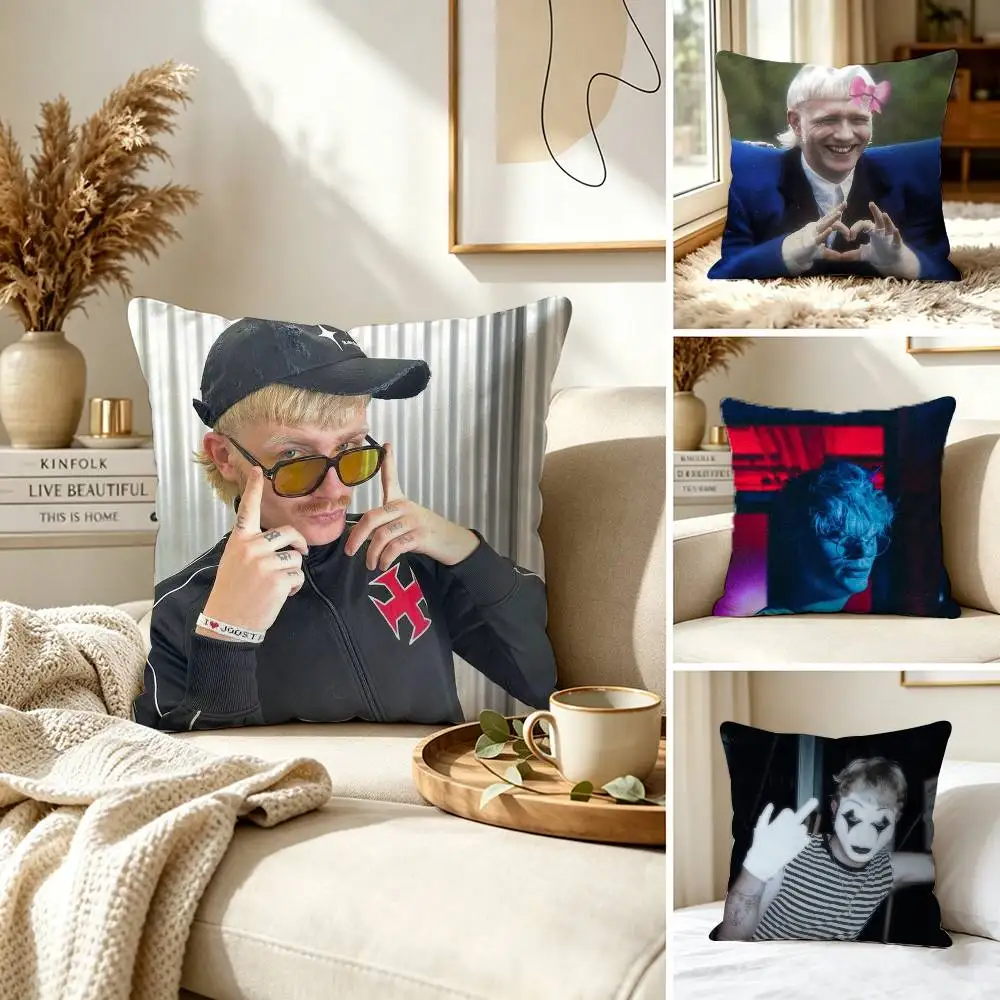 J-joost Klein Singer Pillow Case for Sofa Living Room Home office Decor Protective Cover