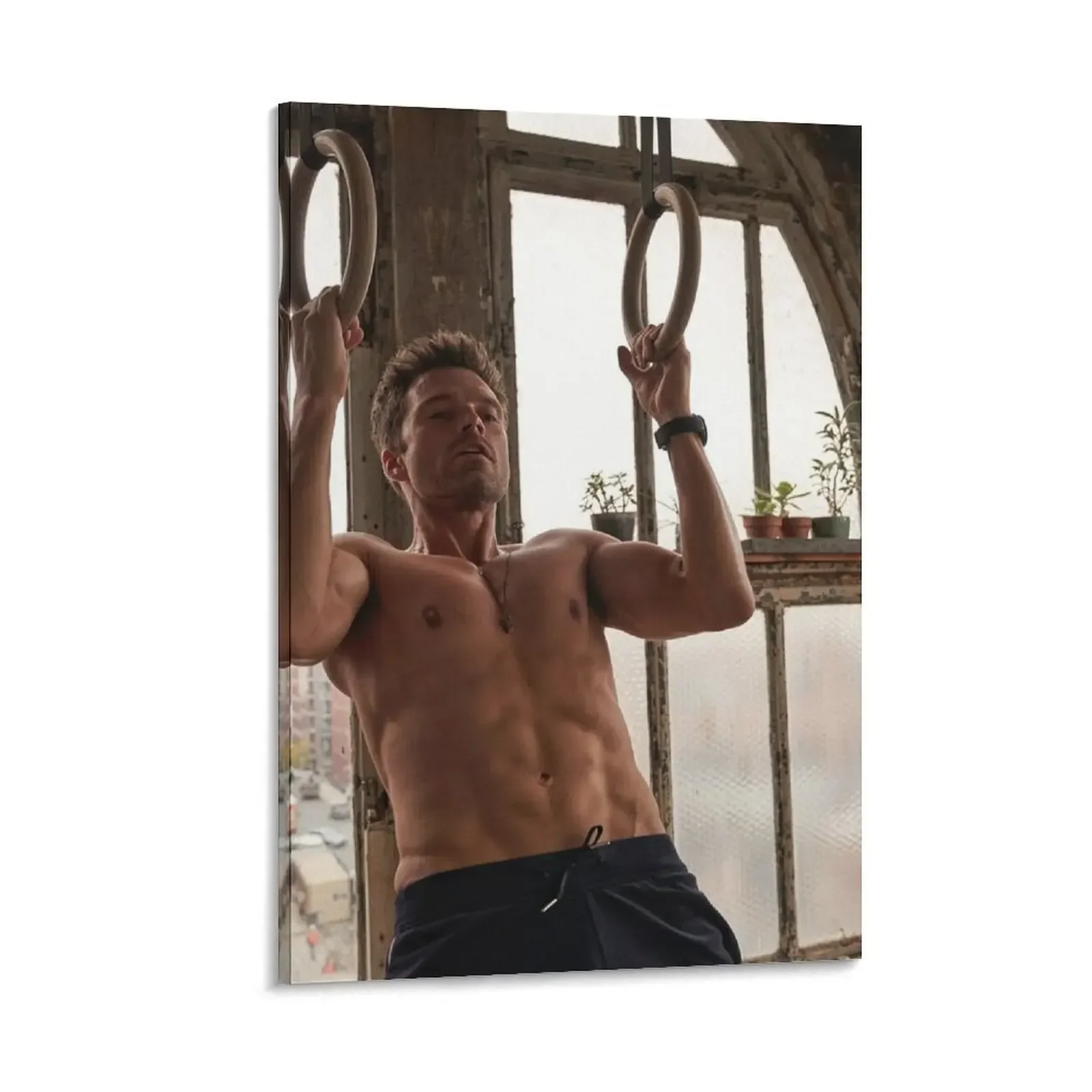 

Sebastian Stan Canvas Painting art room decoration room decors aesthetic posters