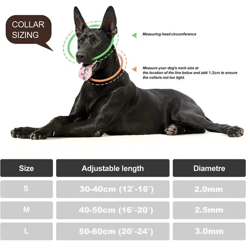 कुत्तों के लिए पालतू धातु मार्टिंगेल पिंच कॉलर, प्रशिक्षण के लिए समायोज्य स्टेनलेस स्टील डॉग कॉलर, डबल लिंक प्लेटेड डॉग चोक चेन 8 best sales कुत्ते की चेन कॉलर - №6