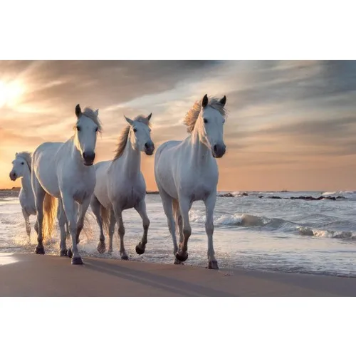 Ritoys White Horses 1000 Piece Jigsaw Puzzle Jigsaw