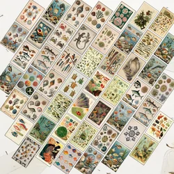 Natural Retro Style Marine Life、Animal、Crab Postcard,Card、Poster、Greeting Card;For School Room Decoration,Wall Sticker Kit,Aesth