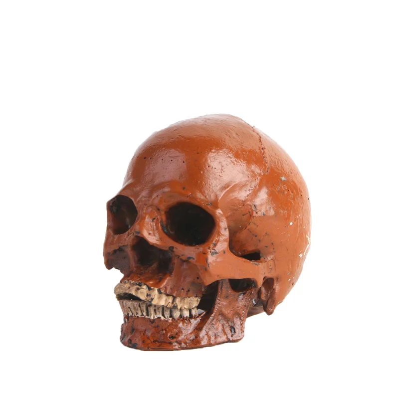 Specimen Mold Resin Halloween Prank Prop Craft Skull Model