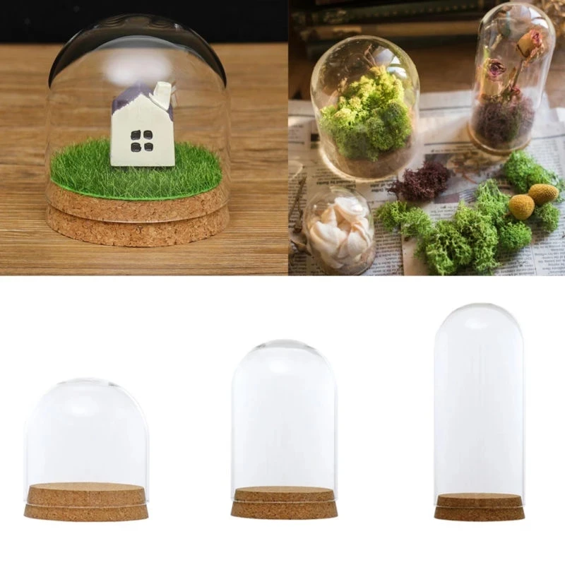 Dia 8cm Everlasting Flower Glass Dome Cover Home Decor Vases Succulent Plants Display Bell Jar With Wood Base DIY Wedding Decor