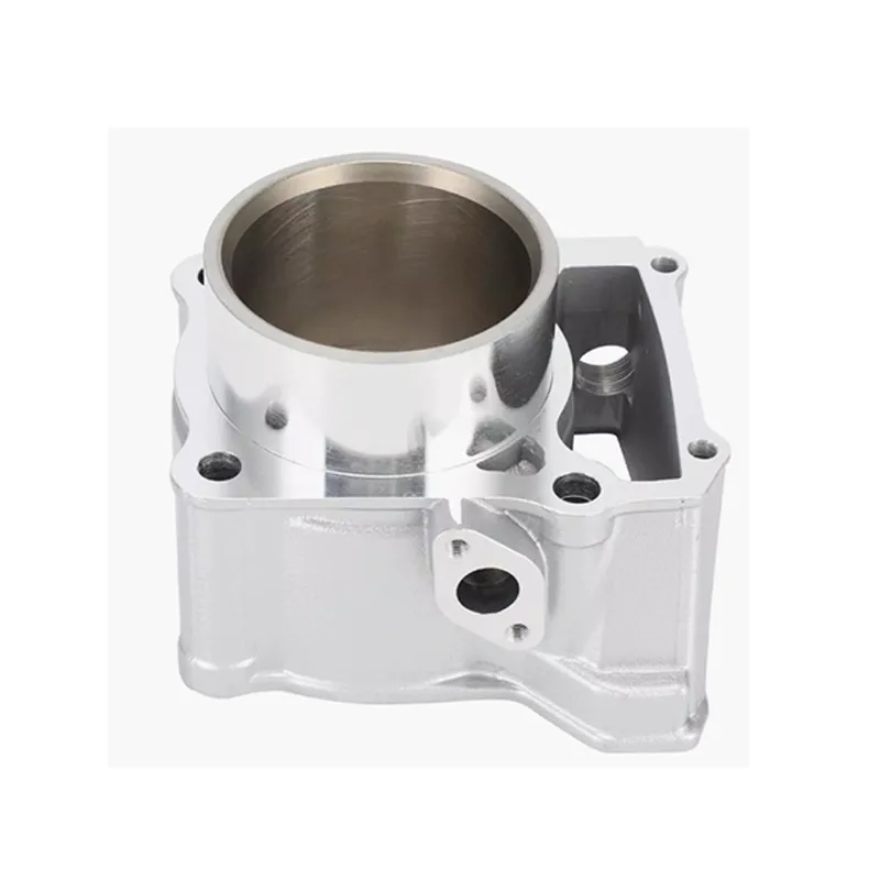 

Motorcycle Parts Cylinder Assembly KLX300 KLX250