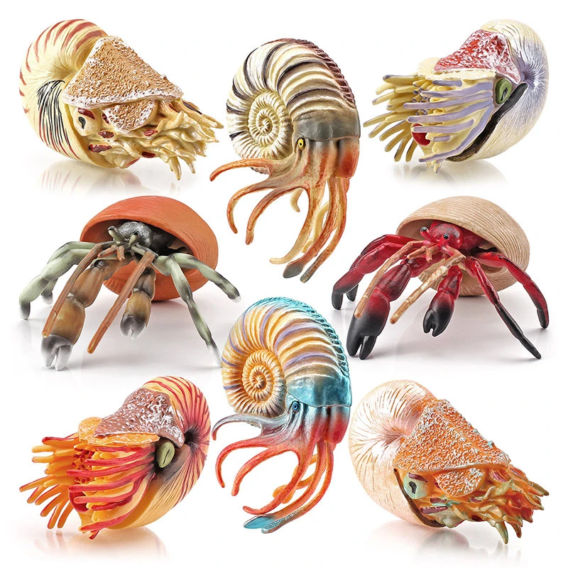 Ancient Marine Life Simulated Animals Nautilus Hermit Crab Action Figure Model Kids Educational Cognition Collection Toys Gifts