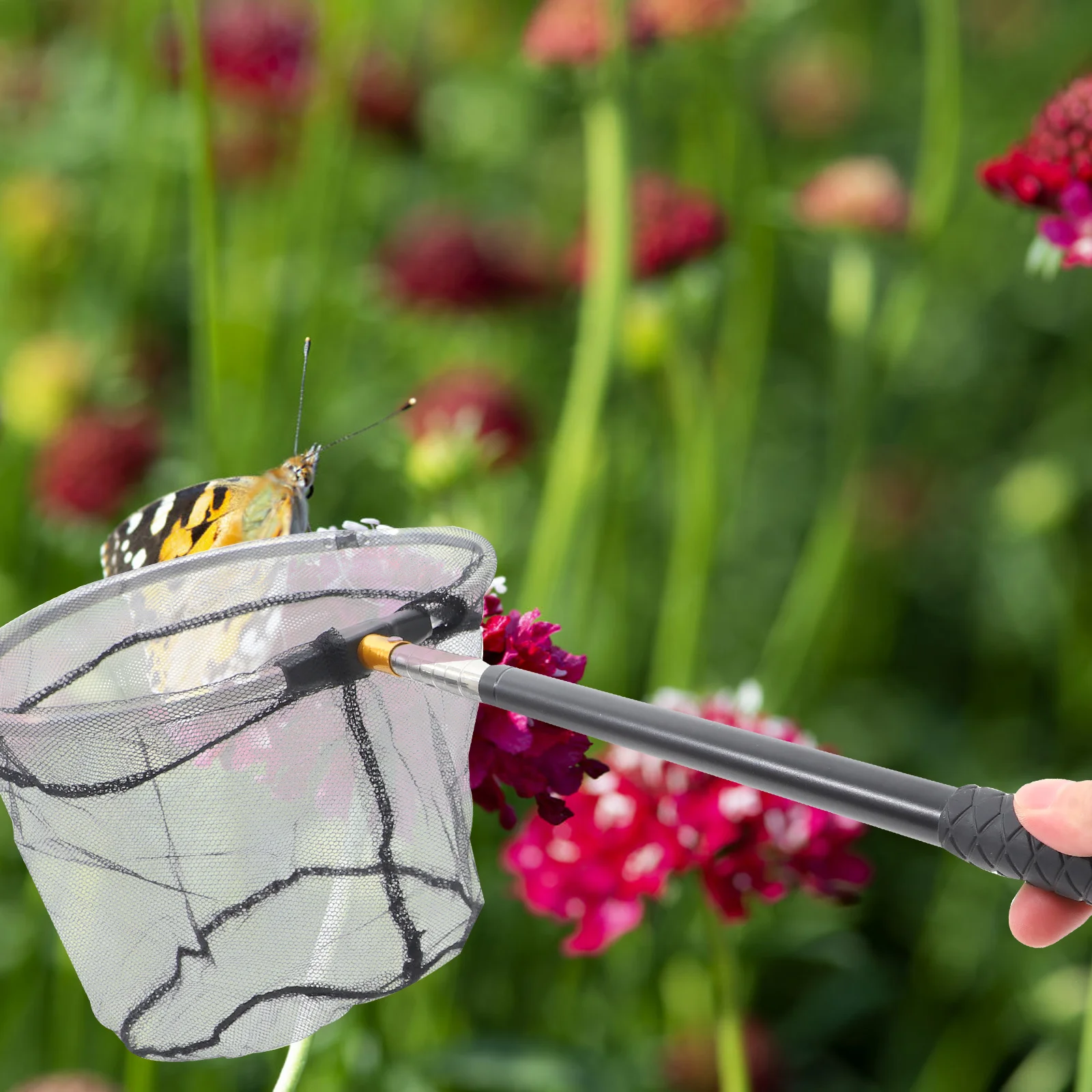 

Stainless Steel Insect Retractable Handle Durable Outdoor Bug Catcher Fishing Small Lightweight Telescopic Metal Dip Net