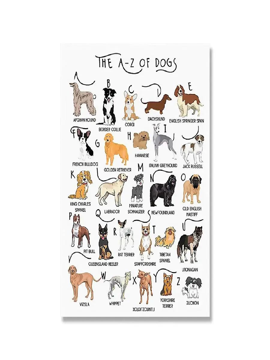 ABC Dog Breed Alphabet Poster  Veterinary Wall Art Canvas Print for Dog Lovers Kids Room  Kindergarten Decor