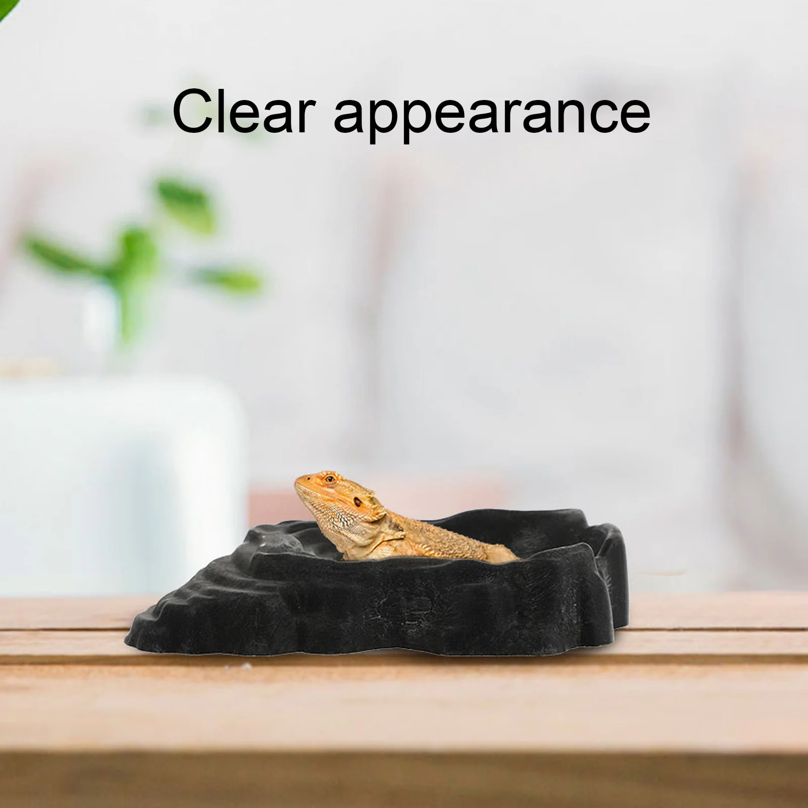 

1Pcs Reptile Food Basin Special Rim Easy Clean Reptile Feeding Bowl Water Dish Worm Container Feeder Pet Feeding Bowl