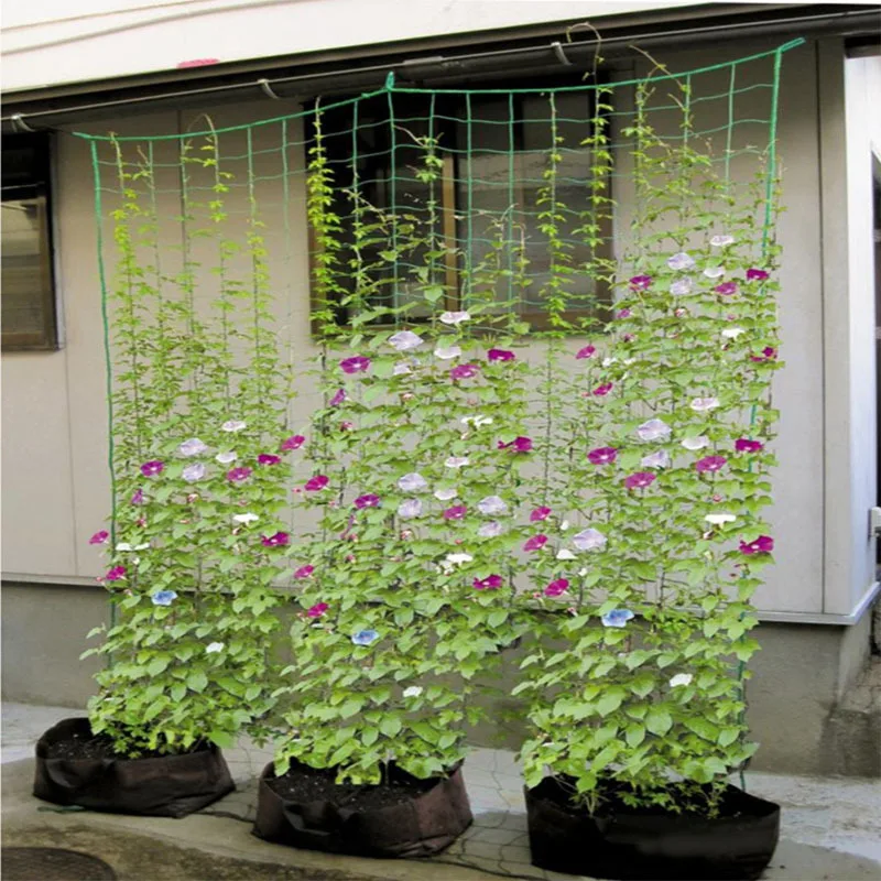 Gaiola de suporte de planta de plástico rede de escalada cordas 0.9x1.8m suporte de planta de feijão treliça flores suporte verde novo