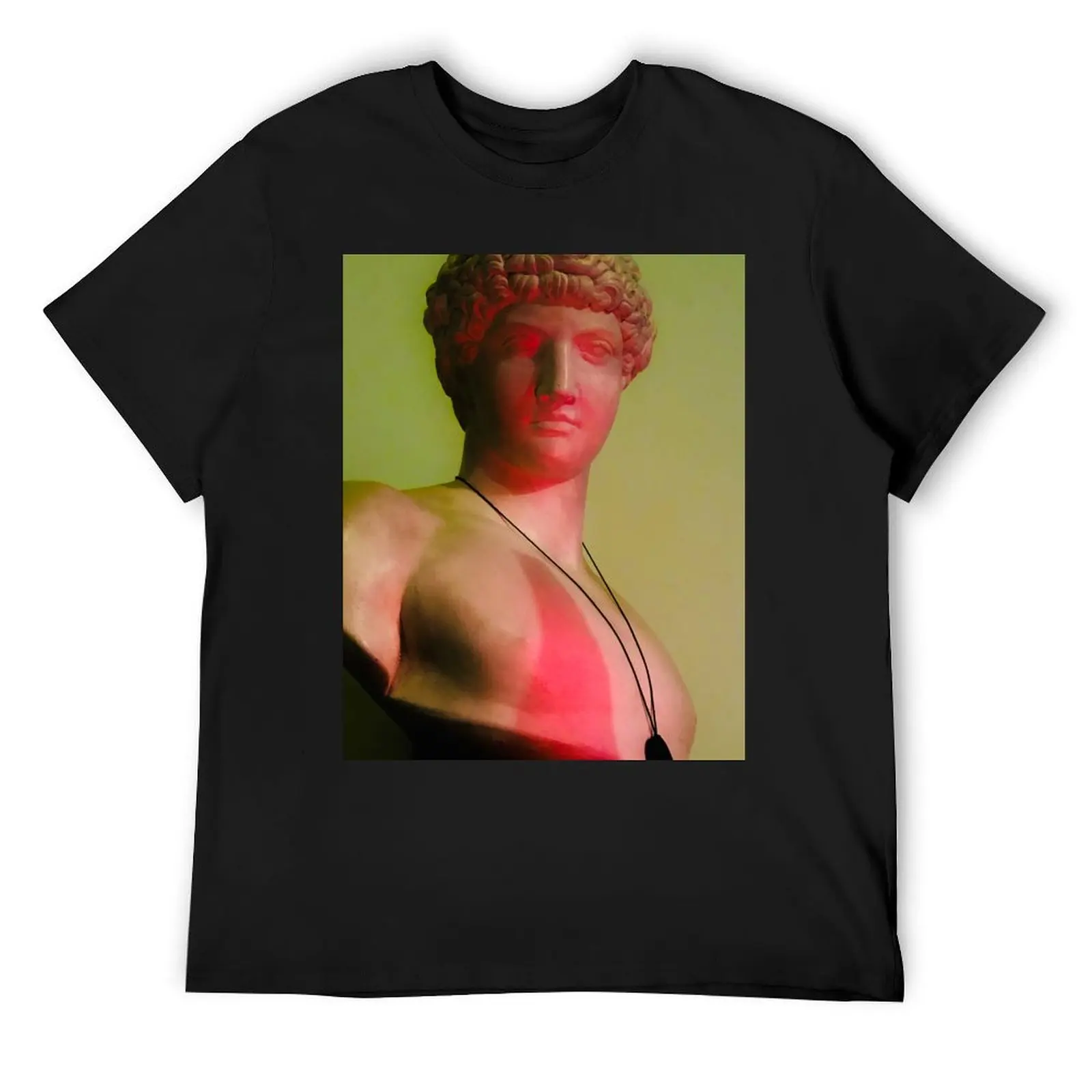 Bust of Antinous T-Shirt man t shirt summer clothes vintage graphic tee shirt men tshirt