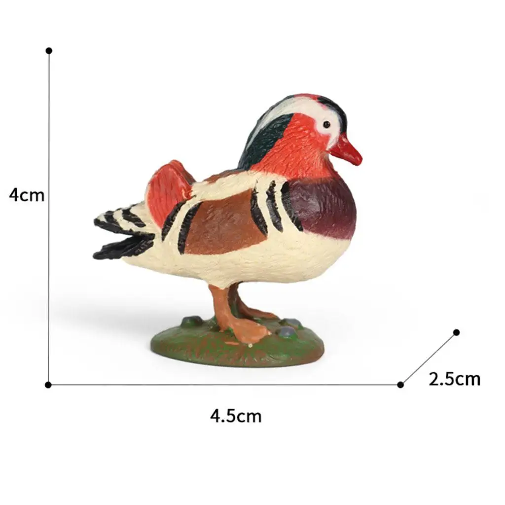 Mandarin Duck Figurine Science Figurines Cognitive Decoration