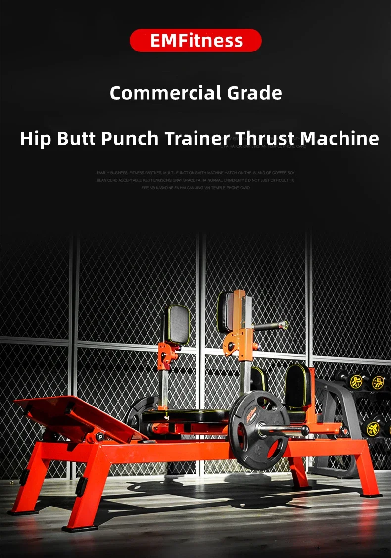 Hip Trainer Fitness Brand Plate Loaded Gym Equipment  Workout Equipments  Waist & Abdomen Exercise  Strength Training Exercise