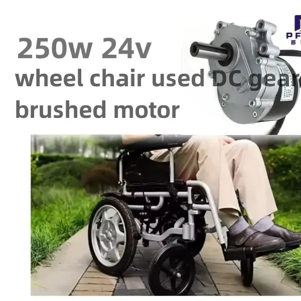 

350w 24v 75rpm / 120rpm Low Speed Brush Motor, Wheel Chair DC Gear Brushed Motor Large Torque Electric Motor