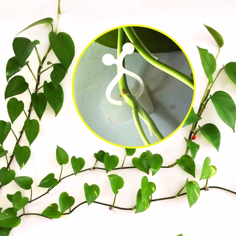 Plant Climbing Wall Clips Vine Buckle Hook Rattan Clamp Fixator Self-Adhesive Plant Stent Invisible Vine Climbing Fixed Bracket