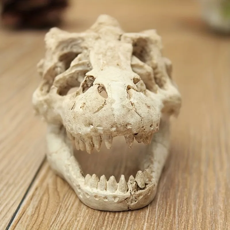 Ancient Realm, Vibrant Dinosaur Skull Aquarium Decor Resin Fish Tank Ornament with Naturalistic Detailing,Reptile Betta Hideouts