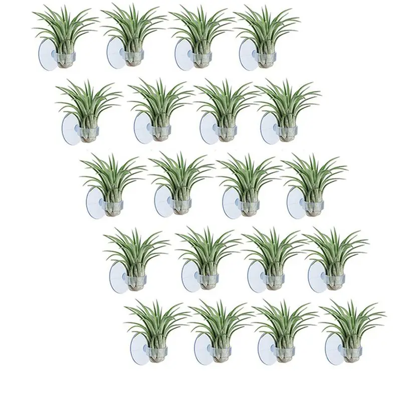 A19F-60 Pcs Air Plant Holder, Plant Pot Tillandsia Holder Air Plant Hanger With Suction Cup For Hanging (Plants Not Included)