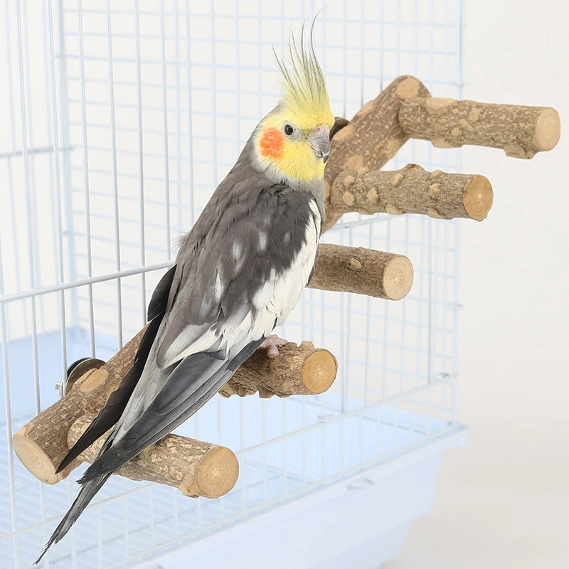 

Bird perch wooden bird stand claw grinding fork parakeet climbing branch toy standing branch ladder toy bird cage accessories