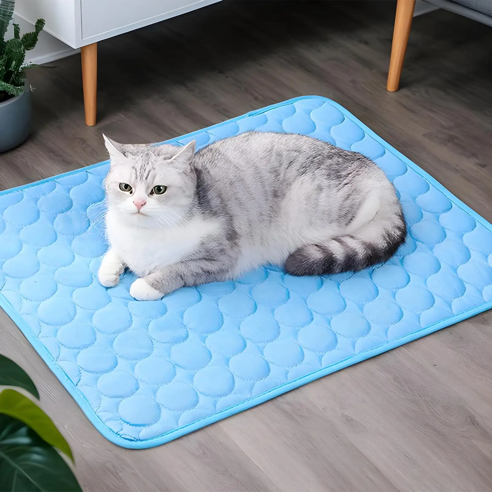 Summer Pet Bed Mat Skin Friendly Material Heat Dissipation Effect Practical Cushion For Daily Rest Of Household Dogs