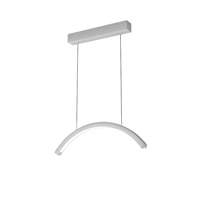 Ceiling Mounted Working Light for Eyelash Salons Tattoo Artists Nail Work Perfect Half Moon Fill Lamp Can Be Raised Lowered