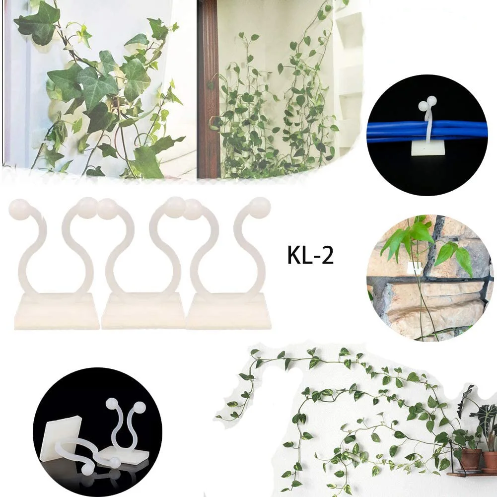 Invisible Wall Rattan Clamp Plant Climbing Wall Clips Self-Adhesive Plant Fixator Vine Buckle Hook Rattan Fixed Clip Bracket