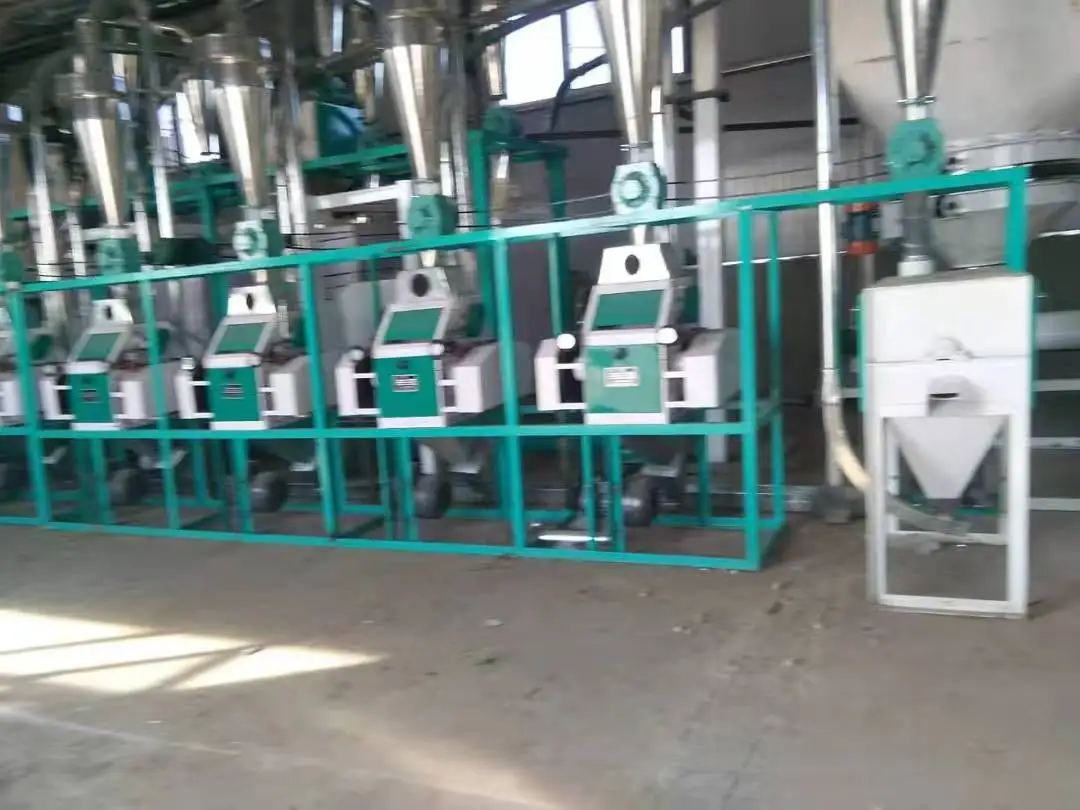 High Precision Motorized Stone Mill Flour Machine Traditional Stone Roller Low Speed Multifunctional Aromatic Flour 20ton/day