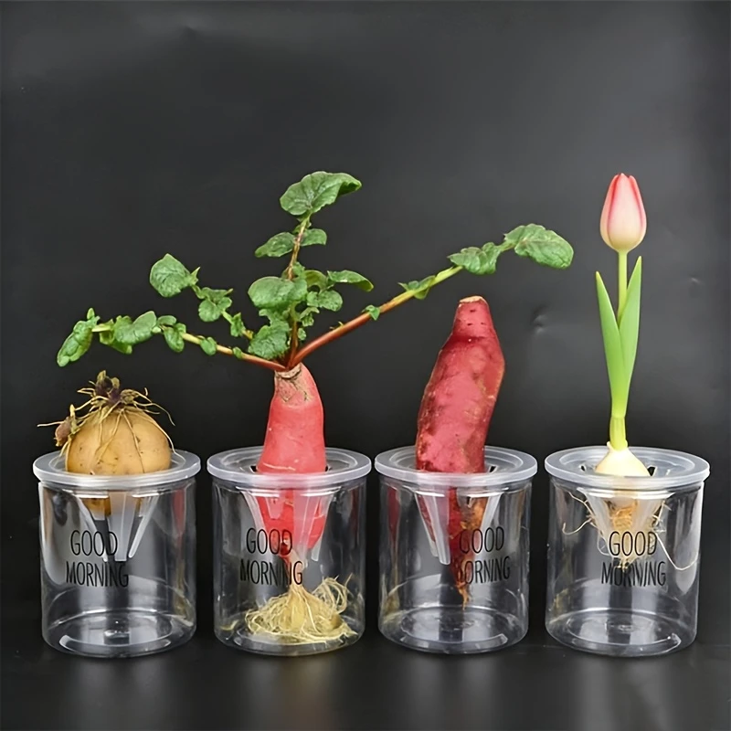 3pcs Small Hydroponic Seedling Pots Portable PP Net Cups For Herbs Vegetables Tulip Bulb Aquaponics Hydroponic Systems