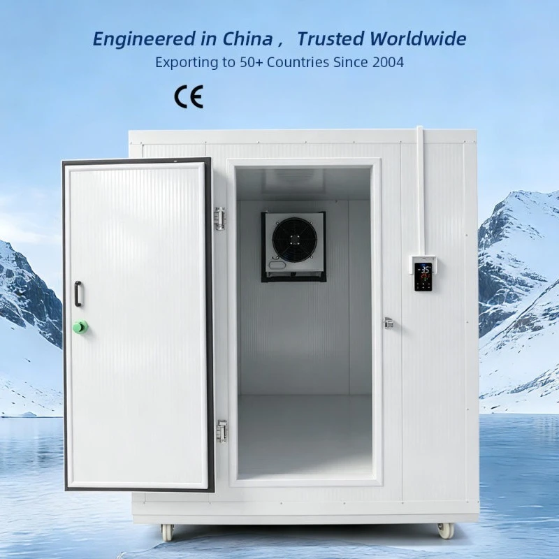 Mobile Cold Storage Room Insulated Cold Chamber With Wheels For Easy Movement In Food Processing Plant And Logistics