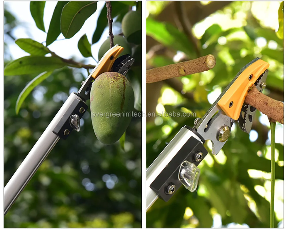 High Tree Long Pole Handle Telescopic Extensible Pruning Fruit Picker