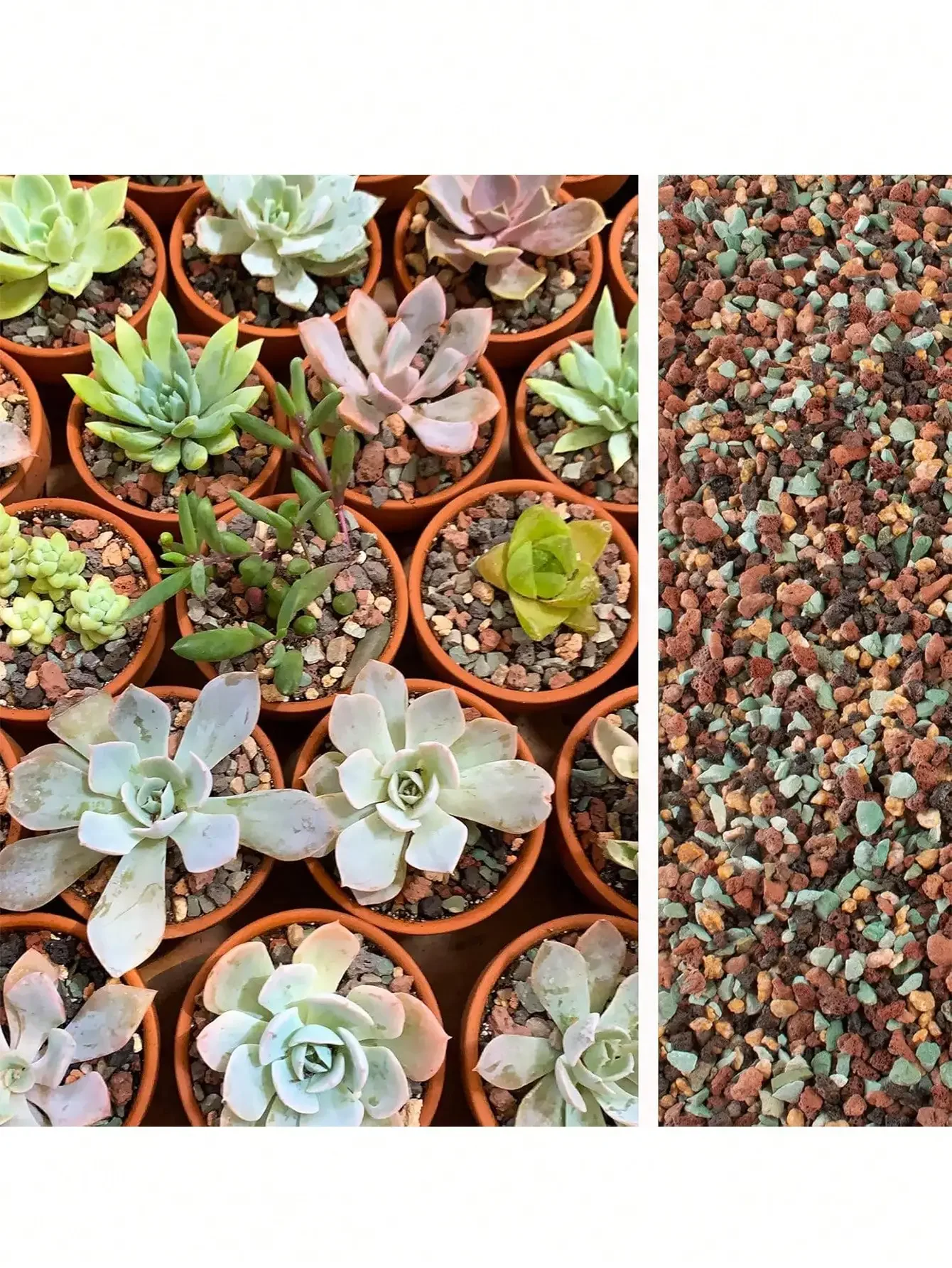 Mix Horticultural Lava Rock Pebbles Pumice Potting Soil Amendment Succulent Cactus Bonsai Gritty Rock Decorative Gravel Plant Dr