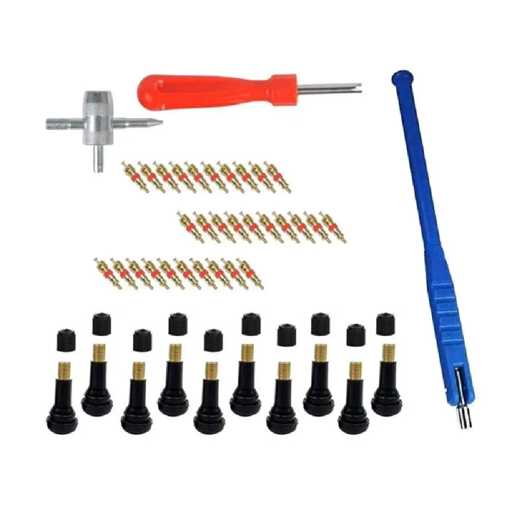 43pcs Car Tyre Valves Repair Tire Valves Core Remover & Installation Tools for Car Motorcycles & Electric Vehicles