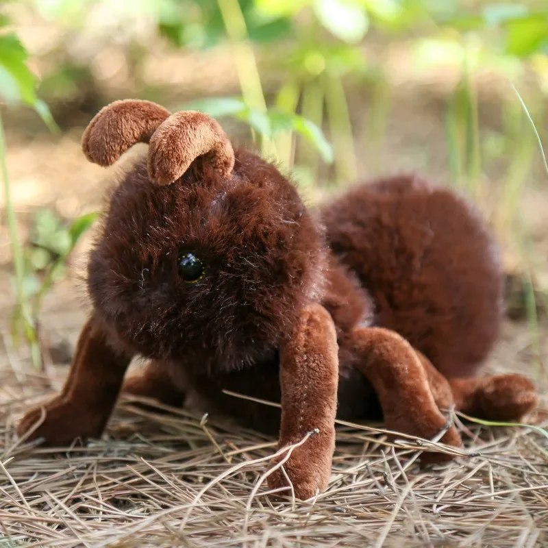 27 cm mignon fourmi Animal en peluche poupée dessin animé insecte en peluche poupée fourmi douce jouets en peluche pour fille garçon cadeau d'anniversaire décoration de la maison poupées