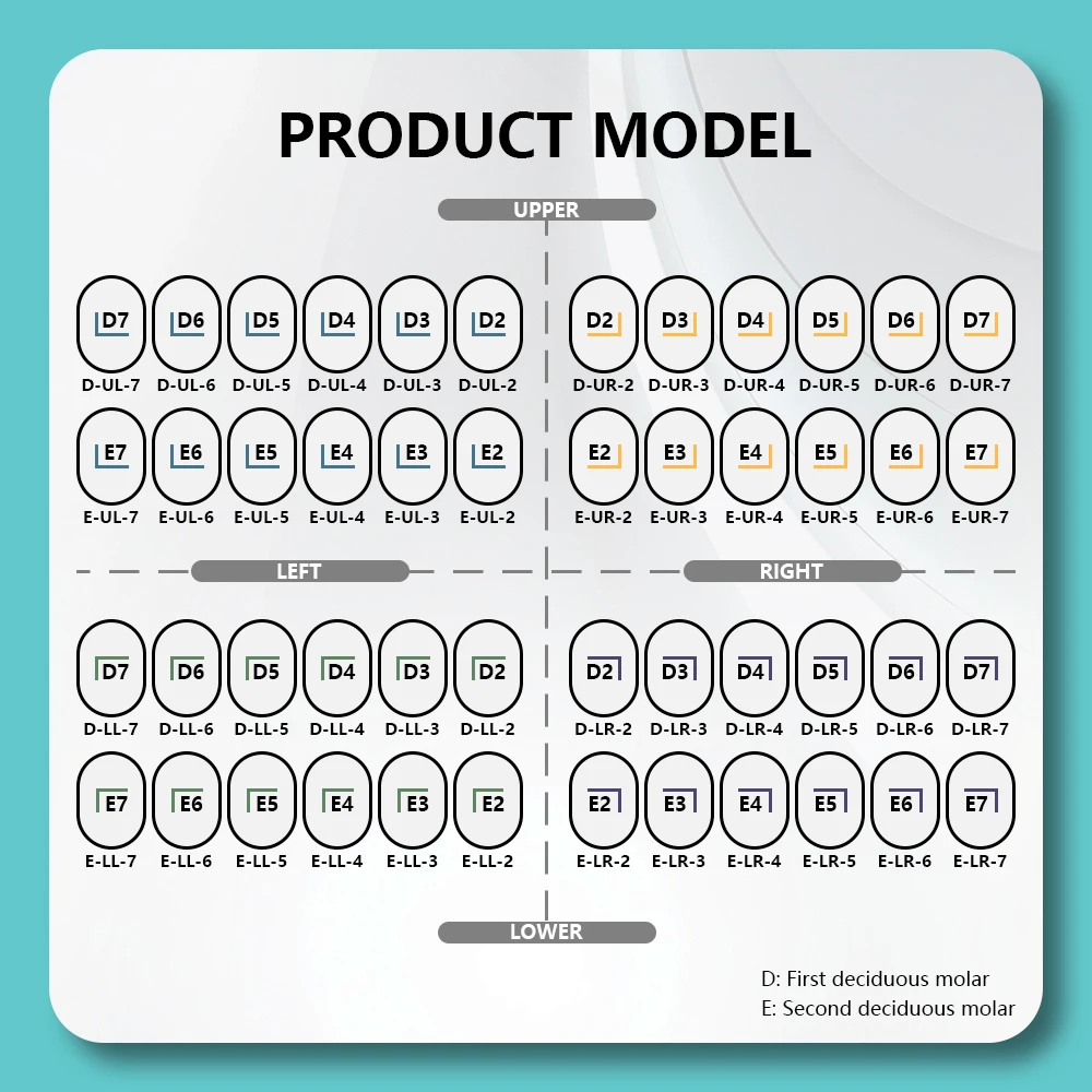 MBM 48 Stück Backenzahnkrone aus Edelstahl für Kinder, vorgeformte Metallkrone für Milchzähne, pädiatrische Zahnheilkunde