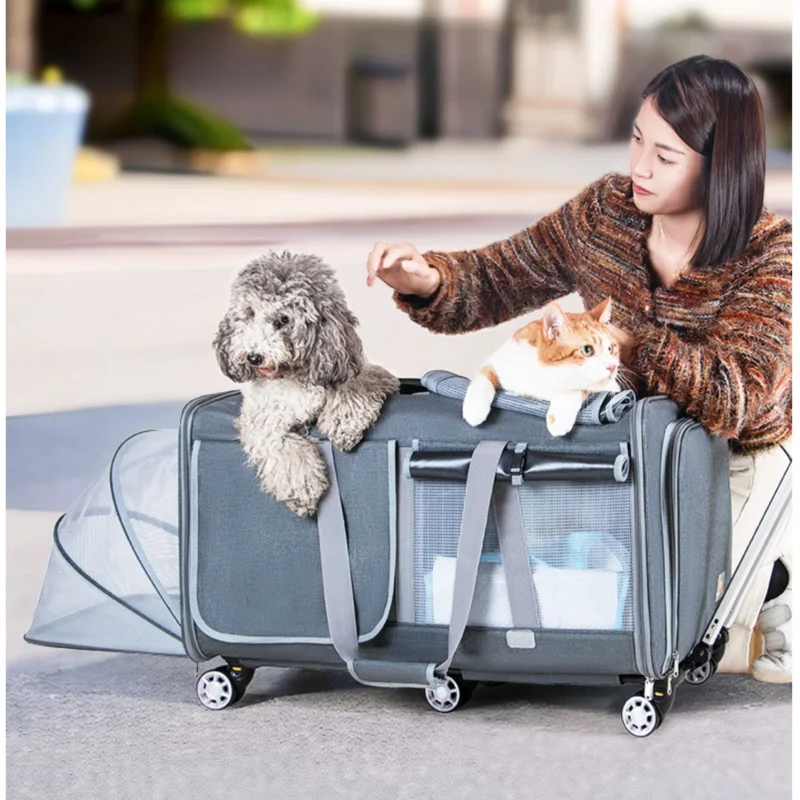 

Widening Enlarging Cat Basket Two Door Isolation Trolley Cart Separate Design Transport Case Comfortable Breathable Pet Carry