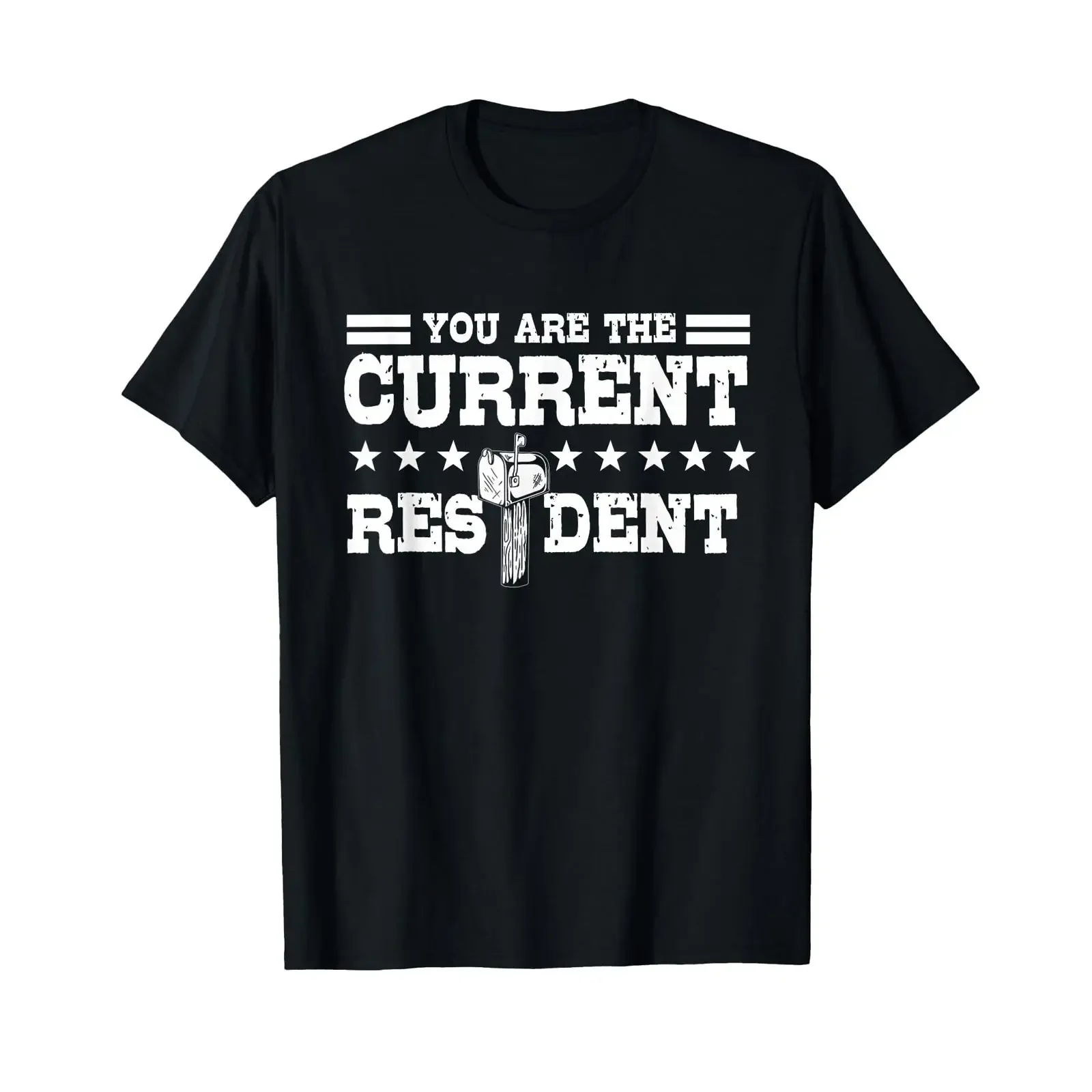You Are The Current Resident Rural Mail Post Package Carrier T Shirt vintage Washed Top For Everyday Wear Breathable Stylish