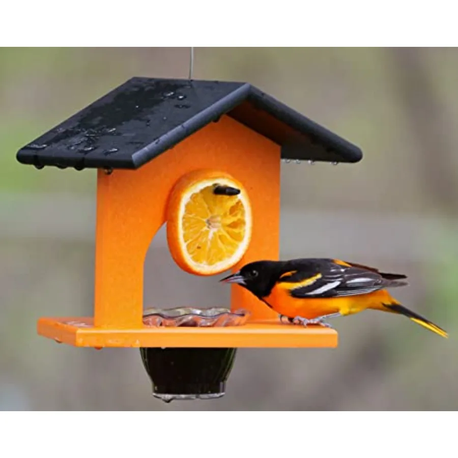 

Hanging oriole bird feeder for outdoor use made of poly lumber material vibrant orange color weather-resistant and easy-to-clea